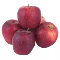Яблоки красные (Азербайджан)