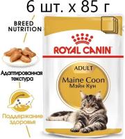Влажный корм для кошек Royal Canin Maine Coon Adult, для взрослых кошек породы мейн-кун, 6 шт. х 85 г (кусочки в соусе)