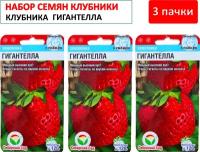 Упаковка 3 пачки: Семена Клубника Гигантелла крупноплодная, Сибирский Сад, 10 шт