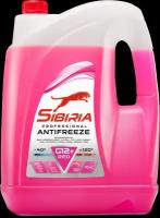 Sibiria sibiria antifreeze g12+ g12+ 10кг 805601