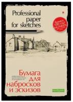 Альт Папка для эскизов и набросков А4, 20л, 4-088