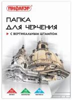 Папка для черчения большая А3, 297х420 мм, 10 л., 160 г/м2, рамка с вертикальным штампом, пифагор, 129229 В комплекте: 3шт