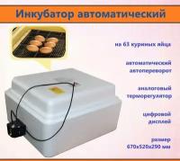 Инкубатор автоматический, 63 яйца, 220 В, терморегулятор, с датчиком температуры. Для инкубации куриных, гусиных, утиных, индюшиных и перепелиных яиц