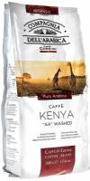 Кофе в зернах Compagnia Dell'Arabica Puro Arabica Kenya Aa Washed