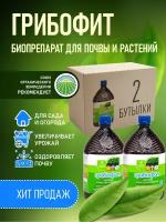 Биофунгицид триходерма вериде, Trichoderma viride от грибковых заболеваний, удобрение "Грибофит", 2 литра