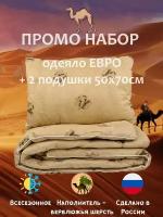 Промо набор Верблюд: Подушка 50х70см 2шт + Одеяло евро 200х220 см / комплект 3 в 1 / Верблюжья шерсть