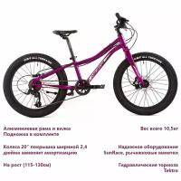 Merida Matts j20+ Pro (2023) Purple