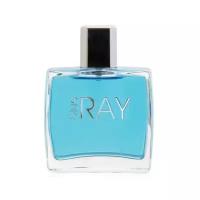 DILIS PARFUM Туалетная вода мужская Blue Ray, 100 мл