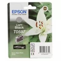 Картридж Epson C13T05974010, 440 стр, серый