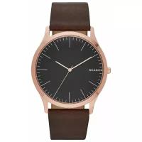 Наручные часы SKAGEN Jorn, золотой, черный