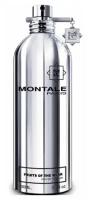 Парфюмерная вода Montale унисекс Montale Fruits of the Musk 100 мл