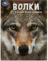 Волки. В царстве лесных охотников / Павлинов И. Я