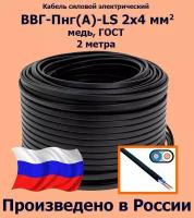 Кабель силовой электрический ВВГ-Пнг(A)-LS 2х4 мм2, медь, ГОСТ, 2 метра