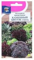 Семена цветов Молодило "каменный цветок", смесь, 0,05 г