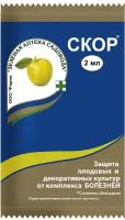Ампула от болезней на плодовых деревьях и цветах Зеленая аптека садовода "Скор", 2 мл