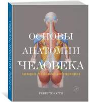 Книга Основы анатомии человека. Наглядное руководство для художников