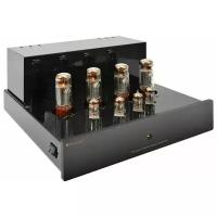 Усилитель мощности стерео PrimaLuna ProLogue Premium Stereo Power Amplifier (EL34)