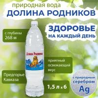 Вода Долина Родников с серебром. Объем 1.5л*6. Ручеек, негазированная, Вода минеральная питьевая природная лечебная, выводит токсины, для детей