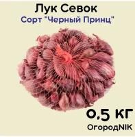 Лук Севок сорт "Черный Принц" 0,5кг