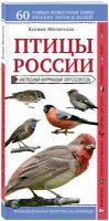 Митителло К. Б. Птицы России. Наглядный карманный определитель (для ПР)