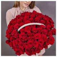 101 красная роза 40 см. в корзине