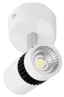 Встраиваемый спот Ambrella light Techno Led TN101/10W WH/BK