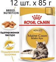 Влажный корм для кошек Royal Canin Maine Coon Adult, для взрослых кошек породы мейн-кун, 12 шт. х 85 г (кусочки в соусе)