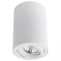 Спот Arte Lamp A1560PL-1WH Накладной потолочный светильник Arte Lamp A1560PL-1WH SENTRY