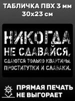 Табличка информационная Никогда не сдавайся 30х23 см