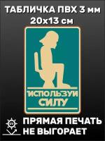 Табличка прикольная на дверь туалета с надписью Используй силу 20х13 см
