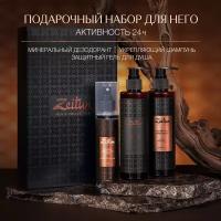 ZEITUN Подарочный набор косметики для мужчин "Активность 24 ч" для тела, ванн и душа: шампунь, гель, дезодорант