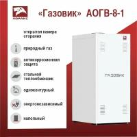 Котел газовый Лемакс Газовик АОГВ 8 (d120)