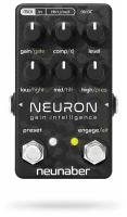 Neunaber Neuron Gain Intelligence