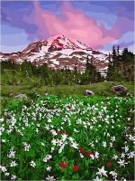Картина по номерам Весна на альпийских лугах 40х50 см