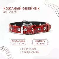 Кожаный ошейник (обхват шеи 22-40 см) для собаки, 2 слоя кожи / "Красный крокодил"