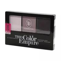 Тени для век тройные Triumph Trio Color Empire 307 аметистовый