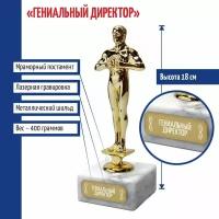 Подарки Статуэтка Фигура "Гениальный директор" (18 см)