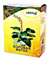 Боровая матка побеги, "Авита", 25 г