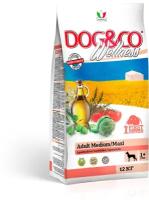 Wellness Dog&Co Adult Medium/Maxi корм для собак средних и крупных пород Баранина и рис, 12 кг