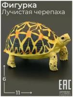 Игрушка Лучистая Черепаха фигурка статуэтка / Животные / Рептилии
