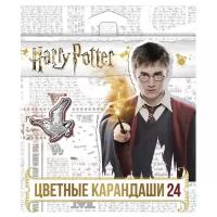 Hatber Карандаши цветные Harry Potter, 24 цвета (BKc_24119)