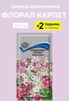 Семена цветов Камнеломка Арендса "Флорал Карпет", смесь, 0,01 гр. + 2 Подарка от продавца