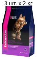 Сухой корм для котят Eukanuba Kitten Healthy start, с курицей, 3 шт. х 2 кг