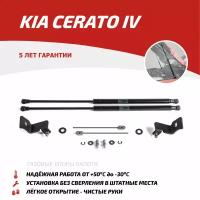 Амортизатор (упор) капота на Kia Cerato UKICER021