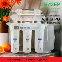 Гейзер Аллегро + подарок TDS Metr