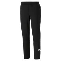 Штаны Puma Power Cat Sweatpants Op черный S