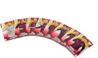 Коллекционный набор Panini Prizm FIFA WORLD CUP 2014 Base cards Yellow and Red Pulsar Prizms (8 карточек)