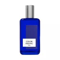 Brocard Мужской Color Feeling Blue Туалетная вода (edt) 100мл