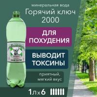 Вода Горячий Ключ 2000. Объем 1л*6. Вода минеральная газированная природная целебная лечебная, выводит токсины, для детей