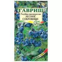 Семена. Голубика высокорослая "Лесное сокровище" (10 пакетов по 30 штук)